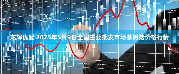 龙辉优配 2025年5月9日全国主要批发市场茶树菇价格行情