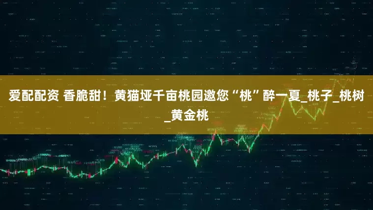 爱配配资 香脆甜！黄猫垭千亩桃园邀您“桃”醉一夏_桃子_桃树_黄金桃