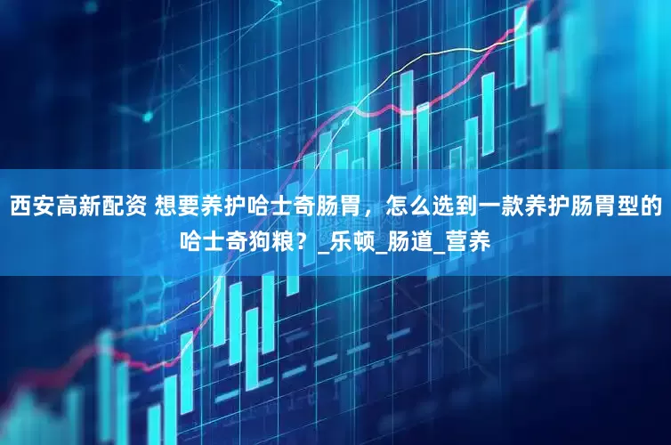 西安高新配资 想要养护哈士奇肠胃，怎么选到一款养护肠胃型的哈士奇狗粮？_乐顿_肠道_营养
