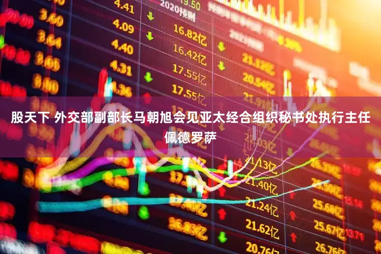 股天下 外交部副部长马朝旭会见亚太经合组织秘书处执行主任佩德罗萨