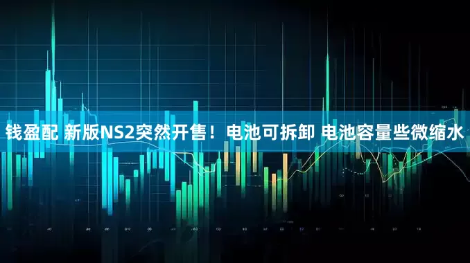 钱盈配 新版NS2突然开售！电池可拆卸 电池容量些微缩水